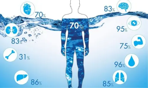 편안하게 실천할 수 있는 수분 섭취 루틴